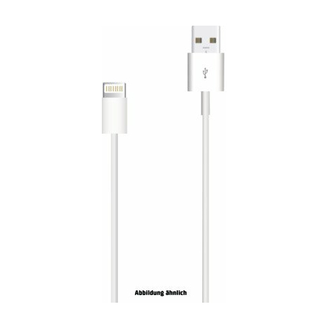 Cable Apple Lightning a USB (1,0 m) (Productos a granel)