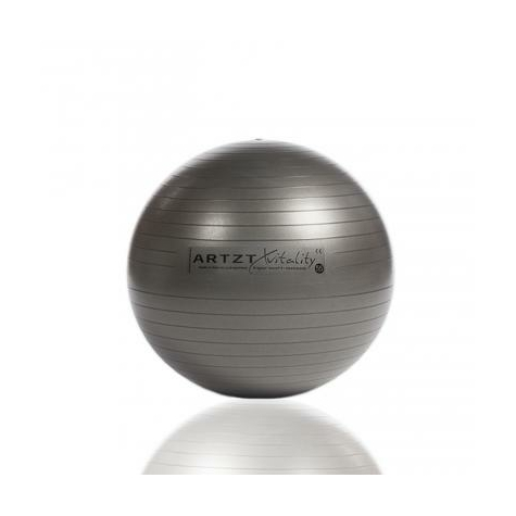 Artzt Vitality Fitness Ball Professional, 55 Cm