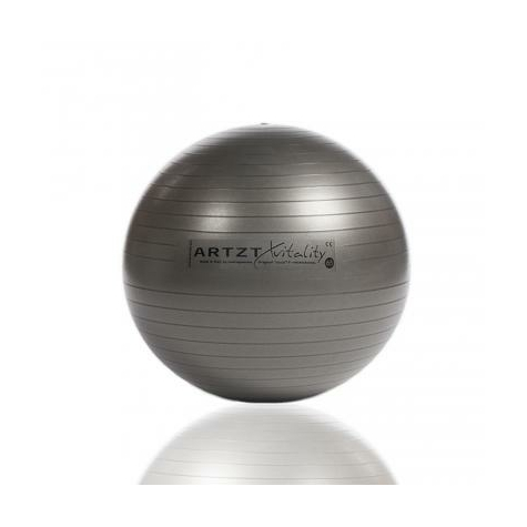 Artzt Vitality Fitness Ball Professional, 65 Cm