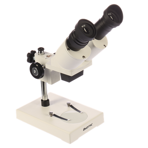 Microscopio Estéreo Byomic Byo-St2