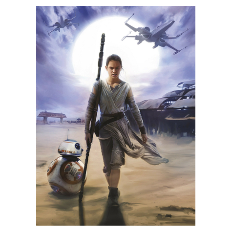 Papel Pintado Foto - Star Wars Rey - Tamaño 184 X 254 Cm