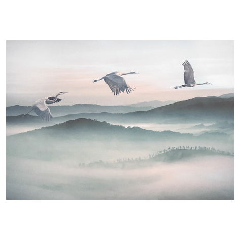 Non-Woven Wallpaper - Mystic Cranes - Size 400 X 280 Cm