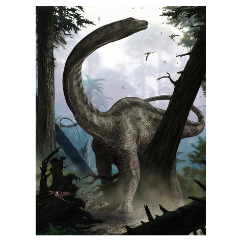 Papel Pintado Foto  - Rebbachisaurus - Formato 184 X 248 Cm