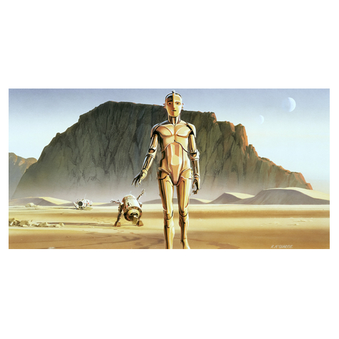 Papel Pintado Foto  - Star Wars Classic Rmq Droids - Tamaño 500 X 250 Cm