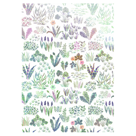 Non-Woven Wallpaper - Flower Farm - Size 200 X 280 Cm