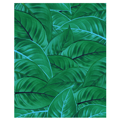 Papel Pintado Foto  - Jungle Leaves - Tamaño 200 X 250 Cm