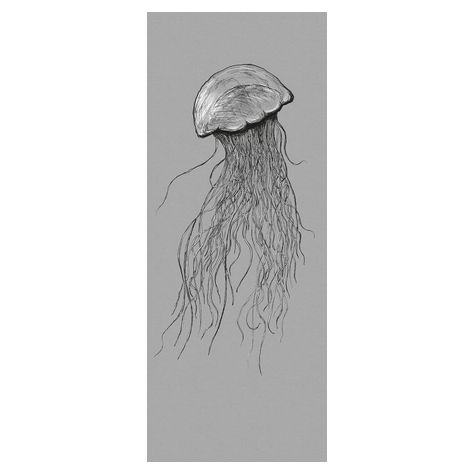 Papel Pintado Foto  - Panel Medusa - Formato 100 X 250 Cm