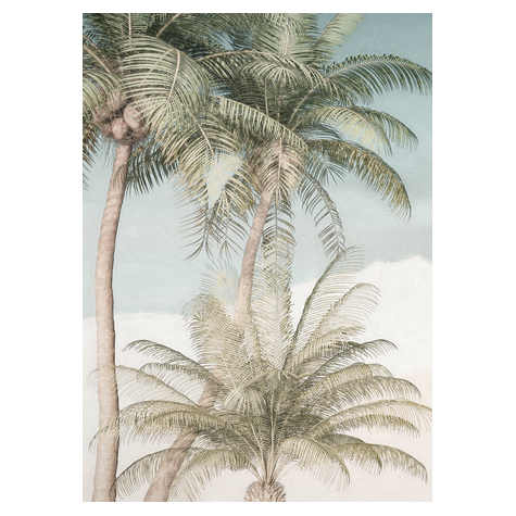 Papel Pintado Foto  - Palm Oasis - Tamaño 200 X 280 Cm
