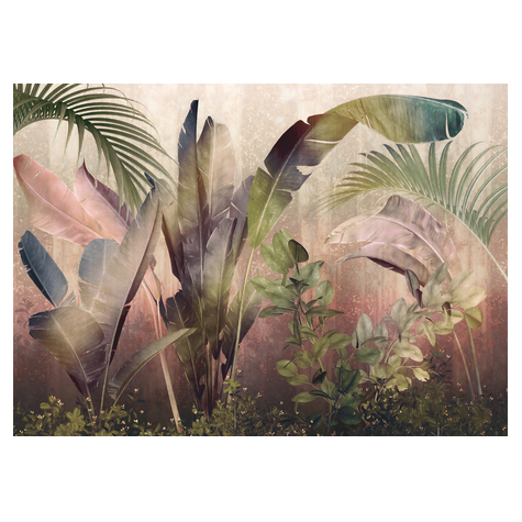 Papel Pintado Foto  - Rainforest Mist - Formato 350 X 250 Cm
