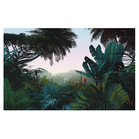 Papel Pintado Foto  - Jungle Morning - Formato 400 X 250 Cm