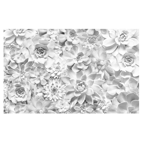 Papel Pintado Foto  - Tonos Blanco Y Negro - Formato 400 X 250 Cm