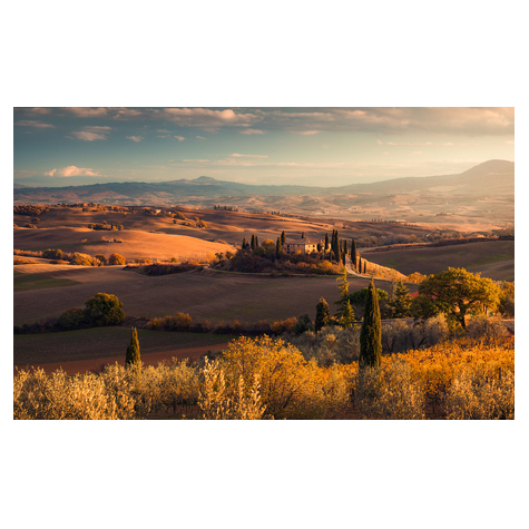 Papel Pintado Foto  - Toscana Oro - Formato 400 X 250 Cm