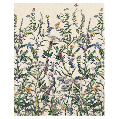 Non-Woven Wallpaper - Flowering Herbs - Size 200 X 250 Cm