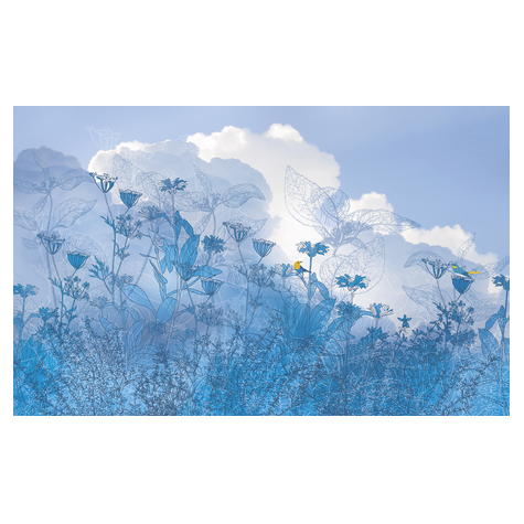 Papel Pintado Foto  - Cielo Azul - Tamaño 400 X 250 Cm