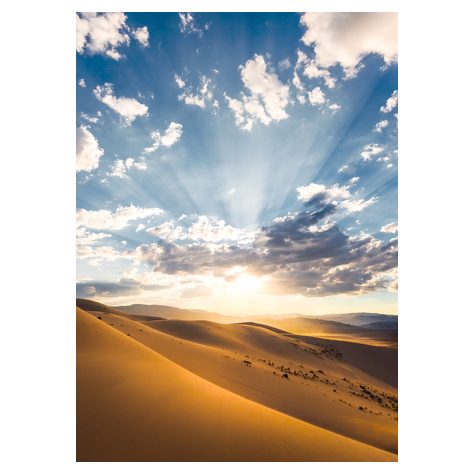 Papel Pintado Foto  - Desert Magic - Tamaño 200 X 280 Cm