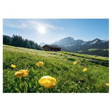 Papel Pintado Foto  - Alpine Happiness - Formato 400 X 280 Cm