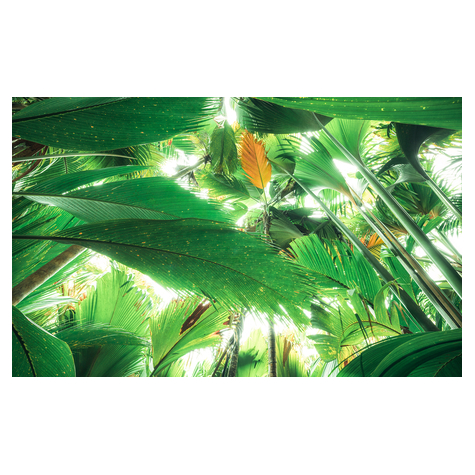 Papel Pintado Foto  - Jungle Roof Ii - Formato 450 X 280 Cm