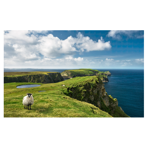 Papel Pintado Foto  - Verde Irlanda - Tamaño 450 X 280 Cm