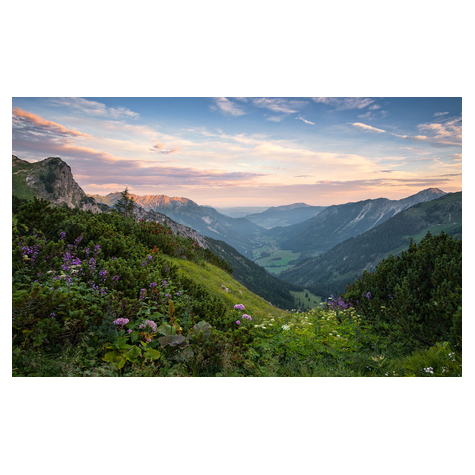 Papel Pintado Foto  - Parque Natural De Los Altos Alpes De Allgäu - Tamaño 450 X 280 Cm