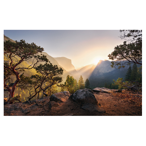 Papel Pintado Foto  - Yosemites Secret - Formato 450 X 280 Cm