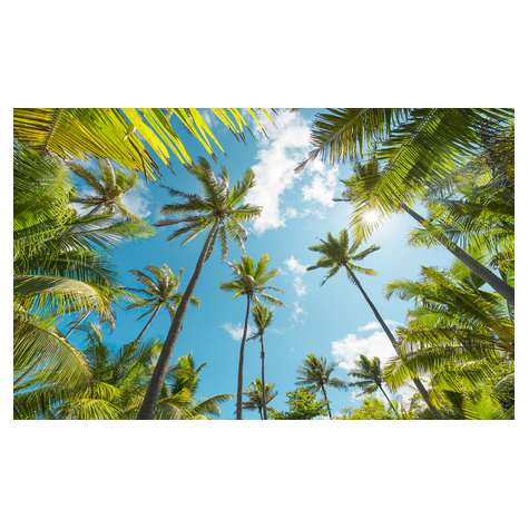 Papel Pintado Foto  - Coconut Heaven - Formato 450 X 280 Cm