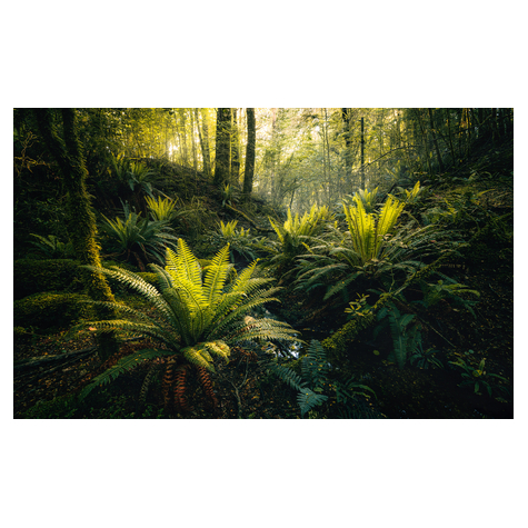 Papel Pintado Foto  - Bosque De Los Fiordos - Formato 450 X 280 Cm