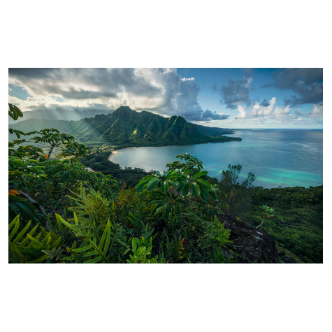 Papel Pintado Foto  - Jurassic Island - Formato 450 X 280 Cm