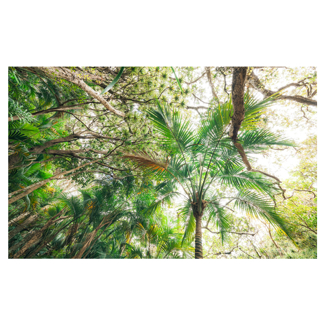 Papel Pintado Foto  - Touch The Jungle - Tamaño 450 X 280 Cm