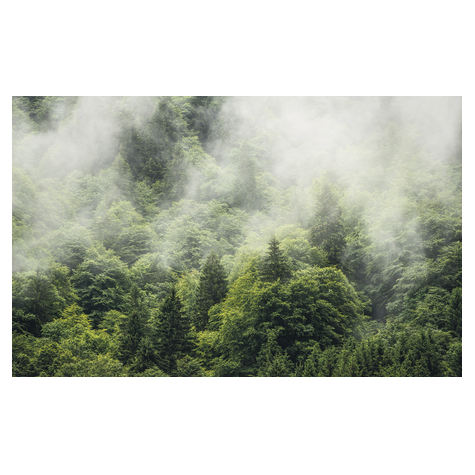 Non-Woven Wallpaper - Forest Land - Size 400 X 250 Cm