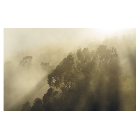 Papel Pintado Foto  - Misty Mountain - Tamaño 400 X 250 Cm