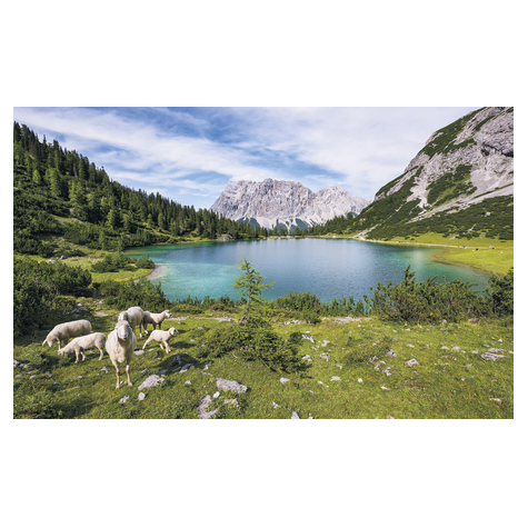 Papel Pintado Foto  - Paradise Lake - Formato 400 X 250 Cm