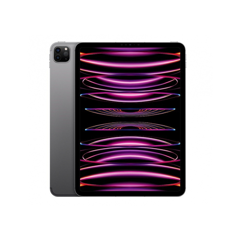 Apple Ipad Pro 11 Wi-Fi + Cellular 2tb Gris Espacial 4a Gen. Mnyl3fd/A