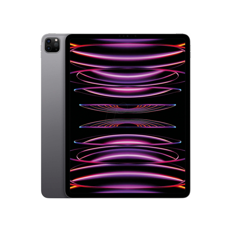 Apple Ipad Pro 11 Wifi 2tb Gris Espacio 2022 Mnxm3fd/A