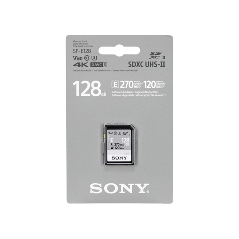 Sony Sdxc Serie E 128 Gb Uhs-Ii Clase 10 U3 V60 - Sfe128