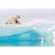 Photomurals  Photo Wallpaper - Arctic Polar Bear - Size 368 X 254 Cm