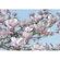 Papel Pintado Foto Magnolia - Tamaño 368 X 254 Cm