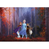 Papel Pintado Foto  - Frozen Autumn Glade - Formato 400 X 280 Cm
