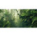 Papel Pintado Foto  - Mundos Tropicales - Formato 500 X 250 Cm