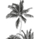 Papel Pintado Foto  - Retro Palm - Tamaño 200 X 280 Cm