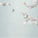 Papel Pintado Foto  - Apple Bloom - Tamaño 250 X 250 Cm