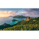 Papel Pintado Foto  - Monkey Island - Formato 350 X 200 Cm