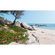 Papel Pintado Foto  - Sueños Mediterráneos - Formato 450 X 280 Cm